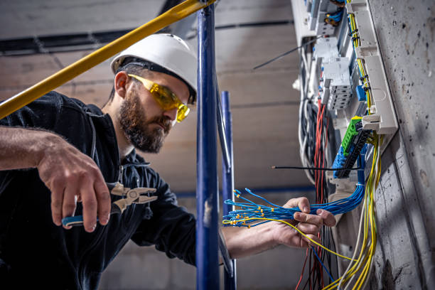 Best Electric Panel Repair  in Virginia Gardens, FL