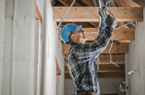 Best Electric Panel Repair  in Virginia Gardens, FL