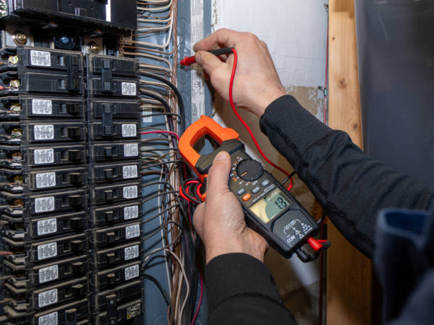 Best Generator Installation Services  in Virginia Gardens, FL